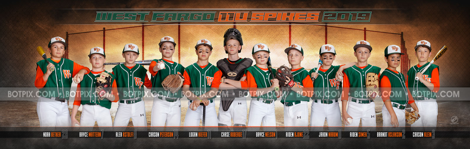 WF 11U Spikes Travel Baseball Team Pano 2019 BOTpix